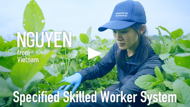 Play movie in a new window:Agriculture