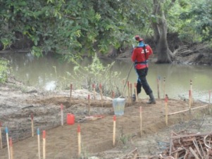 Manual and mechanical Demining in North of Sri Lanka